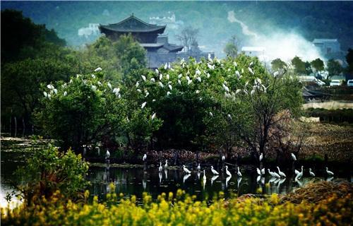 下载.jpg
